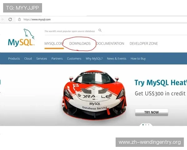 问鼎国际电脑版官网最新版本下载流程与安装步骤详细说明